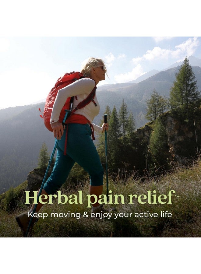 New Chapter Zyflamend™ Multi-Herbal Pain Reliever+ Joint Supplement, 10-in-1 Superfood Blend with Ginger & Turmeric for Healthy Inflammation Response & Herbal Pain Relief+, 120 Count - Image 1