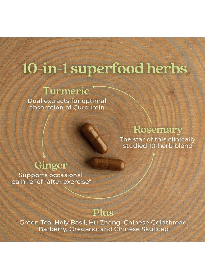 New Chapter Zyflamend™ Multi-Herbal Pain Reliever+ Joint Supplement, 10-in-1 Superfood Blend with Ginger & Turmeric for Healthy Inflammation Response & Herbal Pain Relief+, 120 Count - Image 2