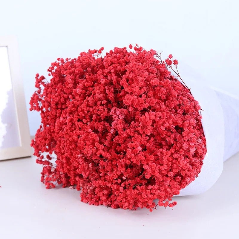 Bluejw Outlet Dried Gypsophila – Natural Preserved Baby's Breath for Wedding Bouquets, Home Decor & Dried Flower Arrangements - Image 1