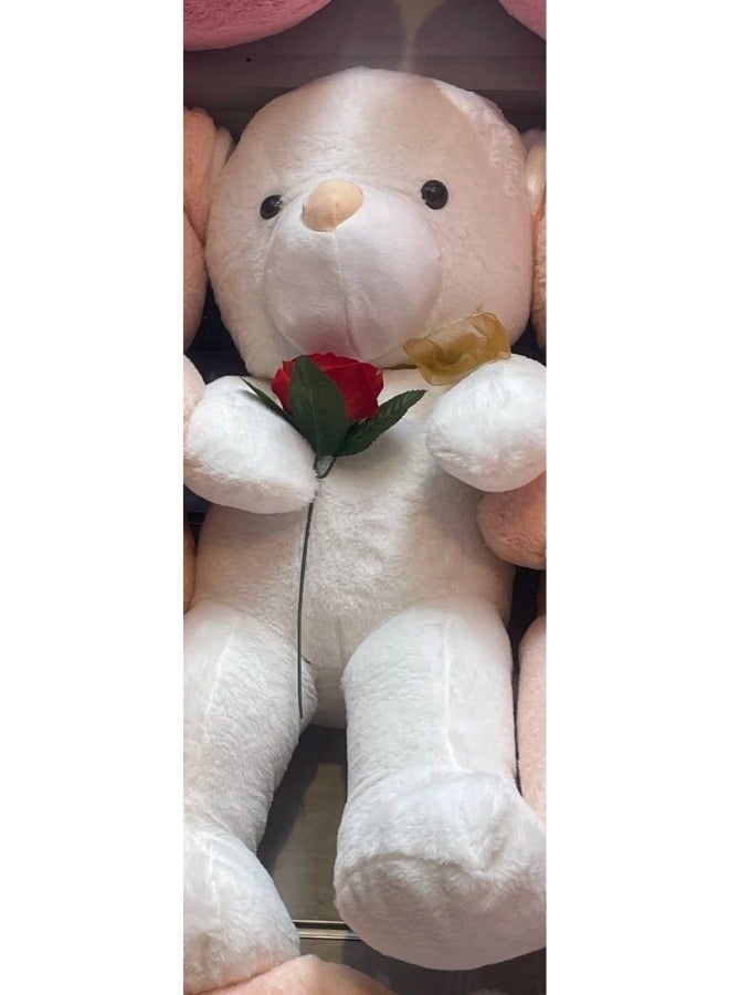 Express your emotions in a sweet way with a teddy bear holding a rose. The perfect gift for loved ones, combining charm and romance to create an unforgettable memory.