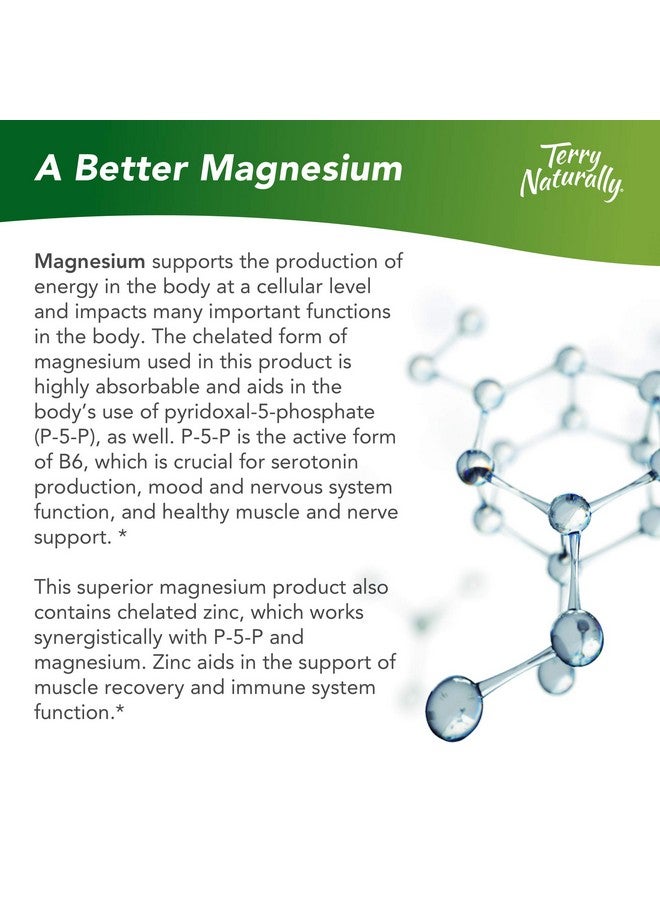 Terry Naturally Bioactive Magnesium Complex 60 Capsules Vitamin B6 Zinc  Magnesium Supplement Supports Heart Health Nongmo Gluten Free Kosher 60 Servings - Image 3