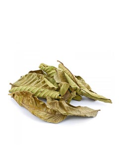 Natural guava leaf 250 gm - pzsku/ZFE378F377D9FE9901A98Z/45/_/1706845070/f2fea2f2-8162-4a34-a23a-4e082747ae3f