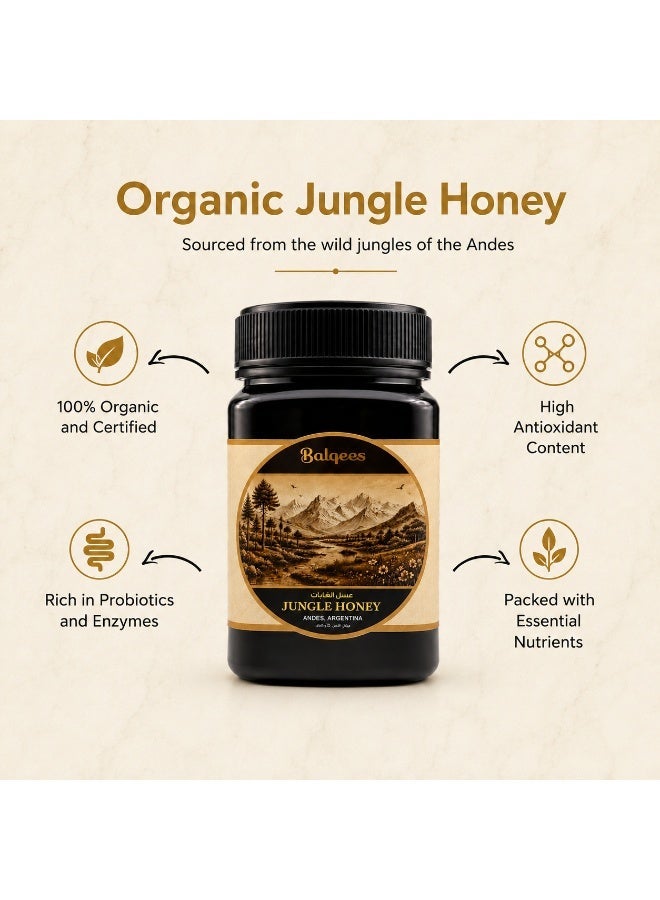 Balqees Organic Jungle Honey - Image 1