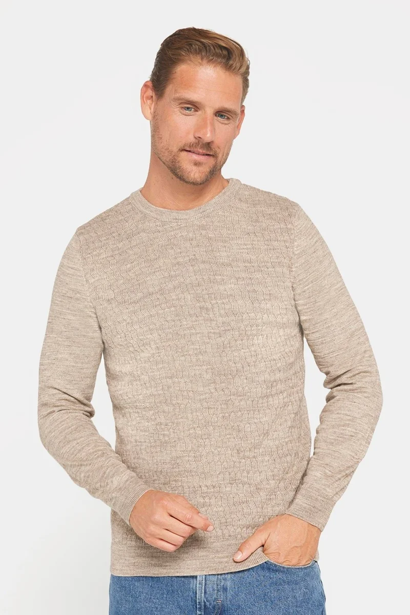 Tudors Slim Fit Crew Neck Self Patterned Beige Men's Knitwear Sweater
