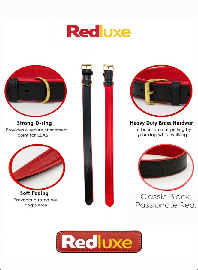 Premium Black Leather Dog Collar with Red Soft Padding, Genuine Leather, Collar for Dogs Brown (Red/Black, M 14"-18") (35-45CM) (XL) - Image 4
