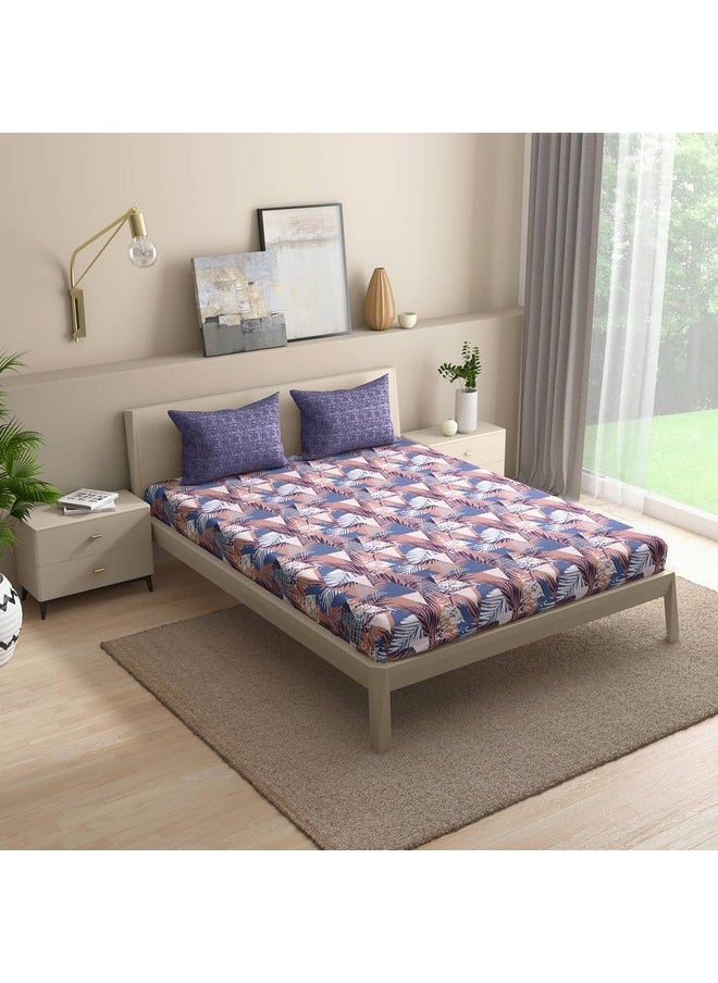 Wakefit - Wakefit Bedsheet for Double Bed King Size, King Size Bed Sheet Cotton, Elastic Bedsheets for King Size Bed, Cotton with 2 Pillow Covers (Elastic Fitted Sheet 78x72 : Mambo) - Image 1