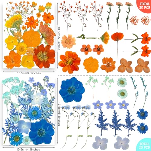Trendcart 301Pcs Dried Pressed Flowers Leaves & Butterfly Stickers for Crafts,TrendCart Real Natural Dry Pressed Flowers for Resin Molds Nails Art Candle Making Phone Cases DIY Art Crafts Jewelry Making - Image 5