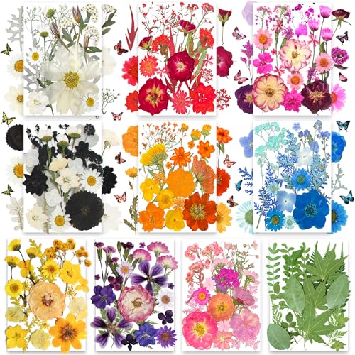 Trendcart 301Pcs Dried Pressed Flowers Leaves & Butterfly Stickers for Crafts,TrendCart Real Natural Dry Pressed Flowers for Resin Molds Nails Art Candle Making Phone Cases DIY Art Crafts Jewelry Making - Image 1