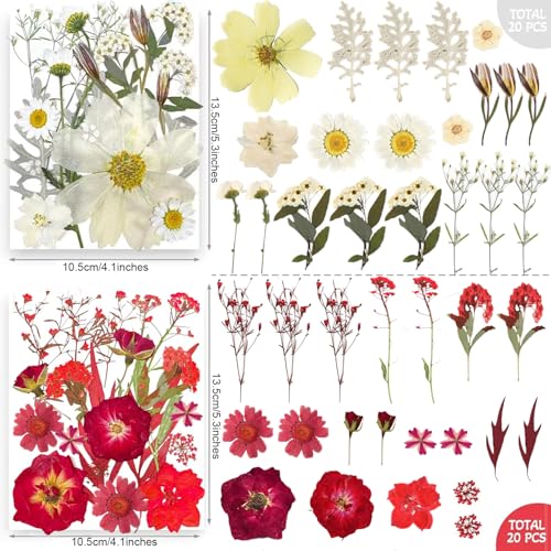 Trendcart 301Pcs Dried Pressed Flowers Leaves & Butterfly Stickers for Crafts,TrendCart Real Natural Dry Pressed Flowers for Resin Molds Nails Art Candle Making Phone Cases DIY Art Crafts Jewelry Making - Image 3