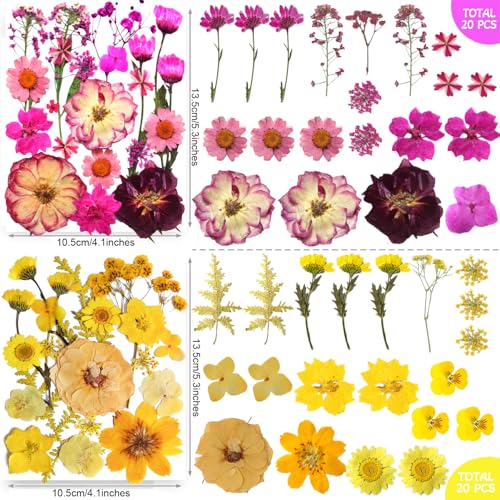 Trendcart 301Pcs Dried Pressed Flowers Leaves & Butterfly Stickers for Crafts,TrendCart Real Natural Dry Pressed Flowers for Resin Molds Nails Art Candle Making Phone Cases DIY Art Crafts Jewelry Making - Image 4