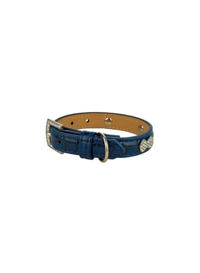Naomi dog blue collar