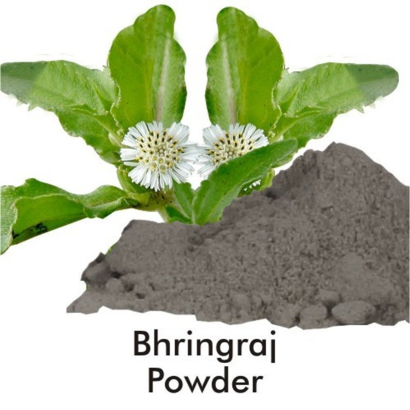 Natural Health and Herbal Products Natural Health  Herbal Products Bhringraj Powder for Eating  False Daisy  Eclipta Prostrata  Hair Care  Hair Growth  Hair Strong  Liver  Skin Care  Drinking  Immunity Booster  227 Gram  - Image 5