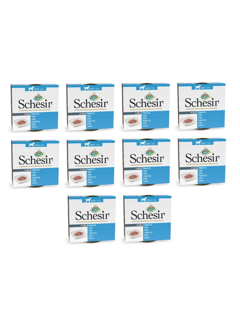 Schesir pack of 10 Dog Wet Food in Jelly Can-Tuna 10x150g - Image 1