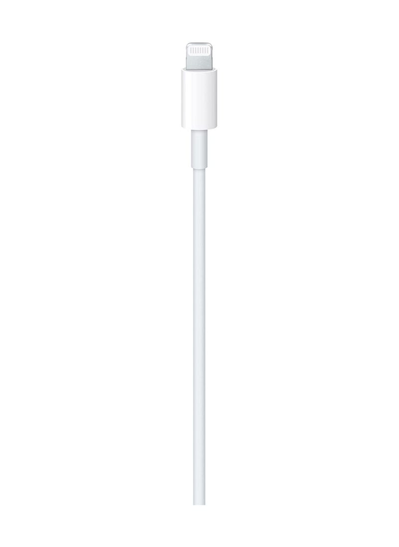 CATANES - Lightning to USB C Cable 2m White - Image 1