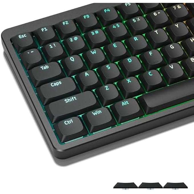 rayihni أغطية مفاتيح منخفضة الارتفاع - 118 مفتاح، أغطية مفاتيح مخصصة لكيبورد هورايزون 60% 65% 75% 100% مع مفاتيح شيري غاتيرون MX (أسود) - Image 1