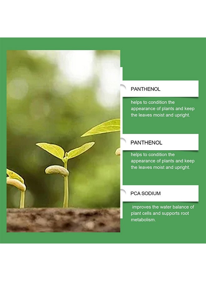 MOONSPRY Plant Propagation Drops, Hydroponic Liquid Plant Food, Nutrient Solution for Aerogarden u0026 Indoor Hydroponics, Liquid Fertilizer for Herbs, Vegetables u0026 Plant Growth (100ml) - Image 2