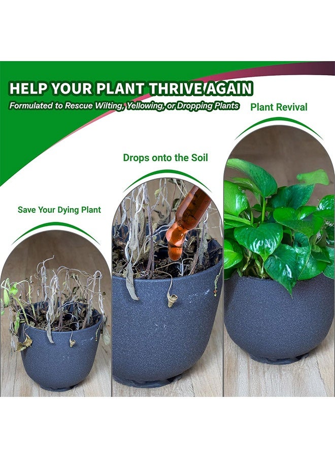 MOONSPRY Plant Propagation Drops, Hydroponic Liquid Plant Food, Nutrient Solution for Aerogarden u0026 Indoor Hydroponics, Liquid Fertilizer for Herbs, Vegetables u0026 Plant Growth (100ml) - Image 5