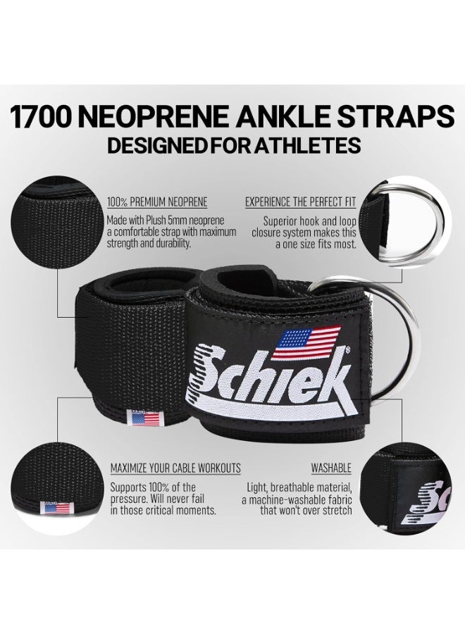 شيك أحزمة الكاحل Schiek موديل 1700 باللون الأسود لربط آلة الكابل - Image 3