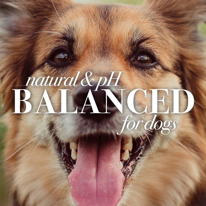 Burt's Bees  Ear Cleaner for Dogs with Pepeprmint and Witch Hazel, 99.7% Natural Origin Formulas, Dog Ear Cleaner, Ear Cleaning Solution for Dogs, 4 oz - Image 3