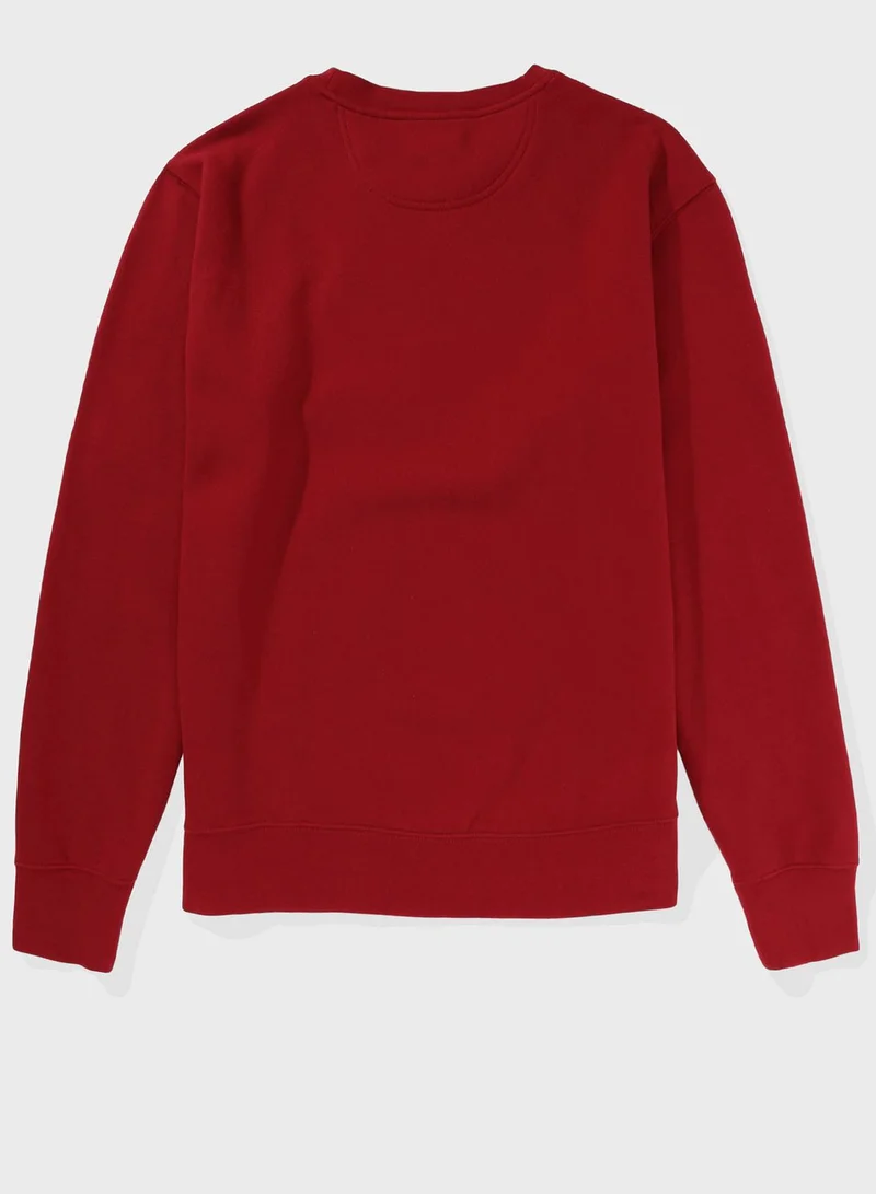 American Eagle Crew Neck Sweatshirt