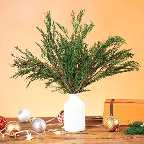 Tavkite 4OZ Preserved Real Pine Leaves Branches -17'' Natural Greenery Plants Twigs Stems Pine Needles Evergreen Picks for Garland Wreath Xmas Wedding Home Party Decor Indoor Outdoor Decoration - Image 2