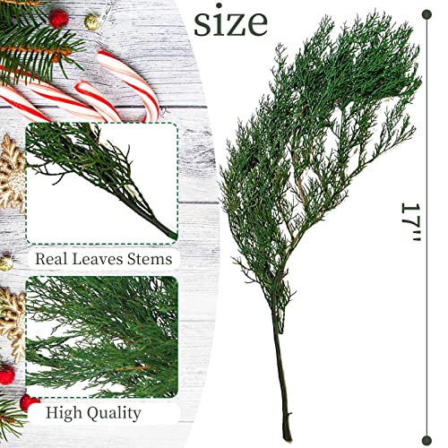 Tavkite 4OZ Preserved Real Pine Leaves Branches -17'' Natural Greenery Plants Twigs Stems Pine Needles Evergreen Picks for Garland Wreath Xmas Wedding Home Party Decor Indoor Outdoor Decoration - Image 4