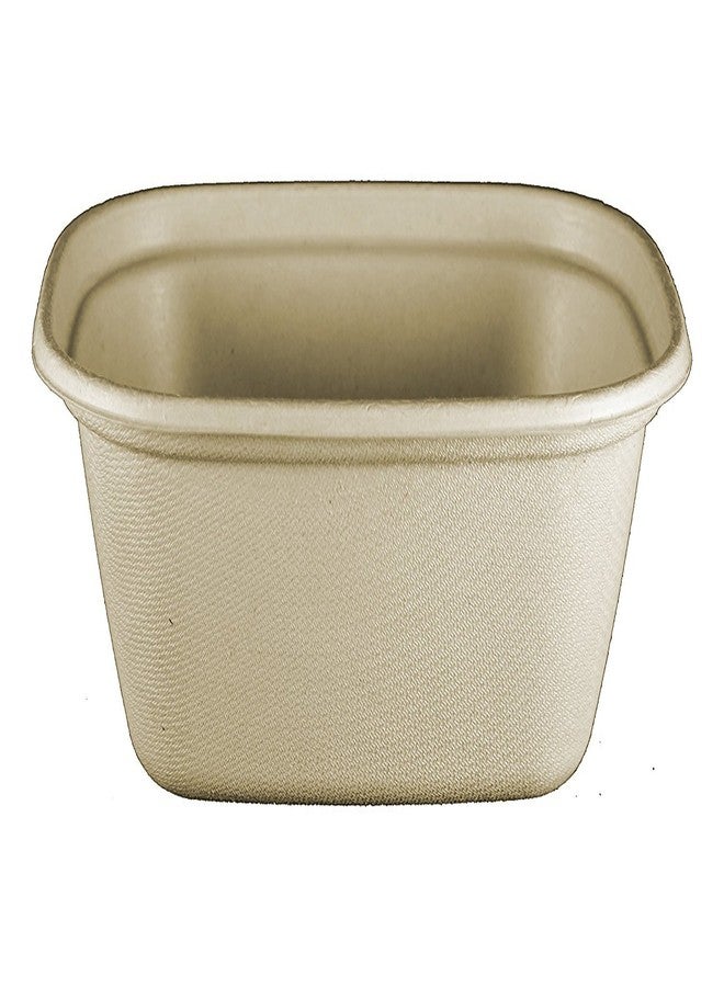 World Centric - CT-SC-U3 100% Compostable to-Go Boxes by , Made from Unbleached Plant Fiber, Great for Takeout, 8.8" x 6.8" x 3", 48 oz, (Pack of 400) - Image 1