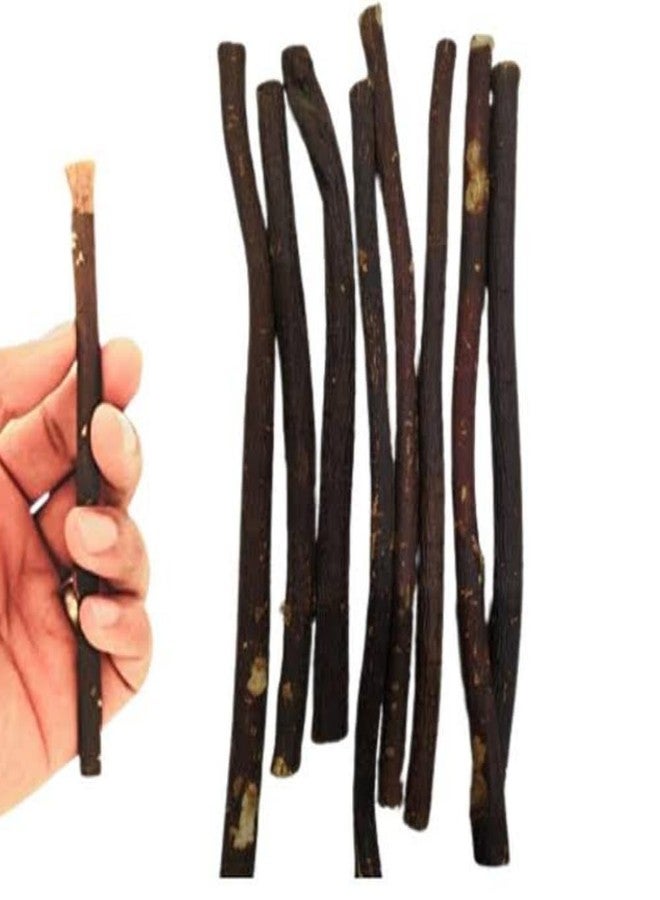 RBLISS CG Zaitoon/Black Olive Herbal Miswak Natural Manual, Adult Toothbrush Sticks | Datun Chewing Sticks | Healthy Eco Friendly Toothbrush | Pack Of 3 - Image 5