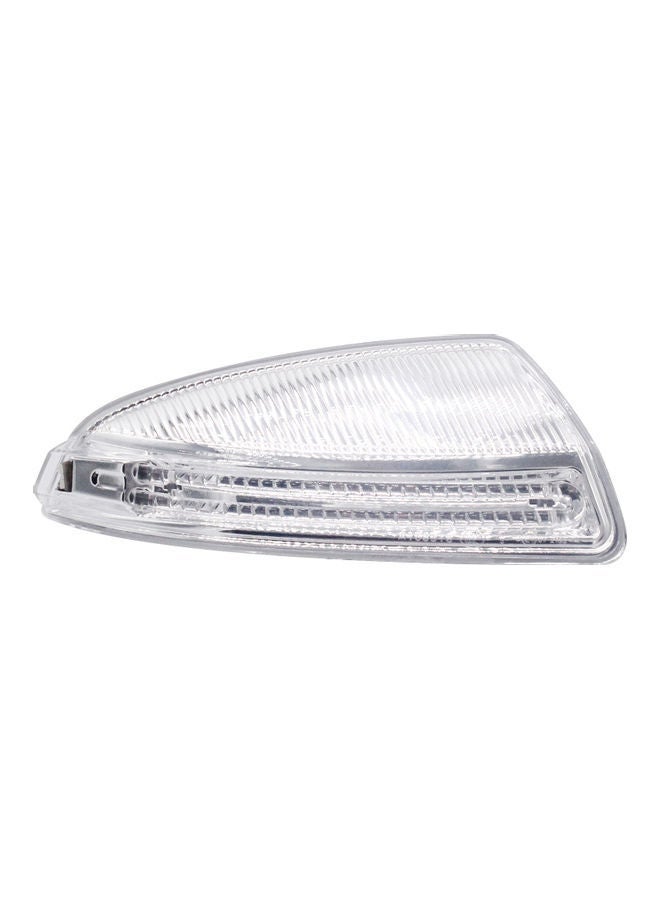 Loquat Exterior Mirror Turn Signal Light - Image 1