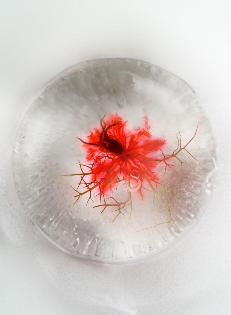 natural100 Verisia Glycerin Soap - Image 5