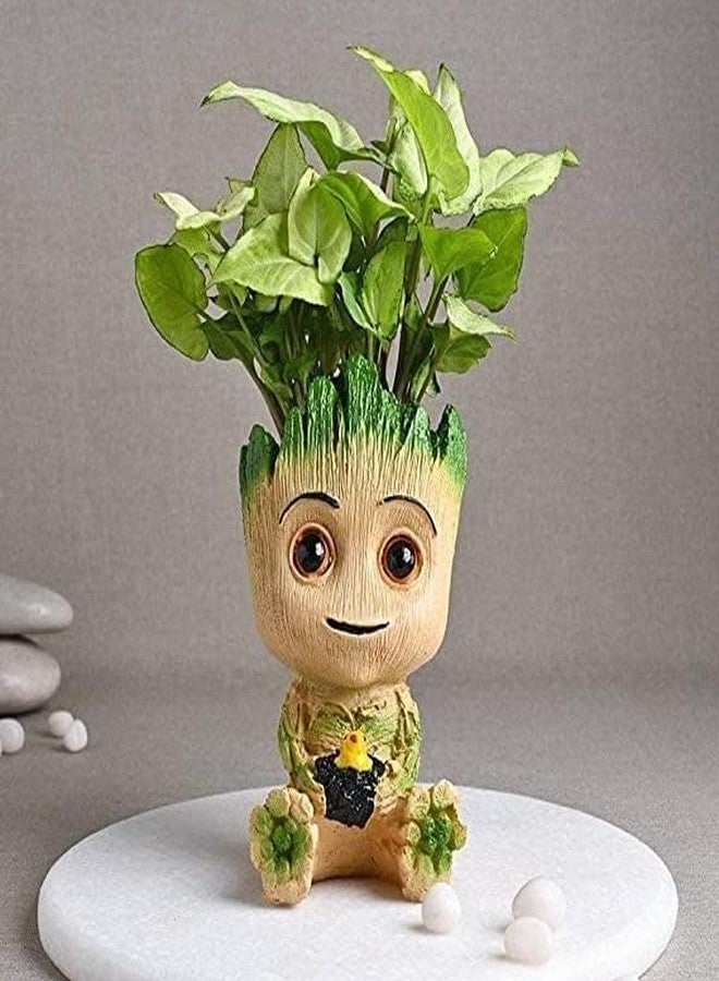 Baby Groot Wooden Look Tree for Aquarium & Fish Tank Decor - Image 3