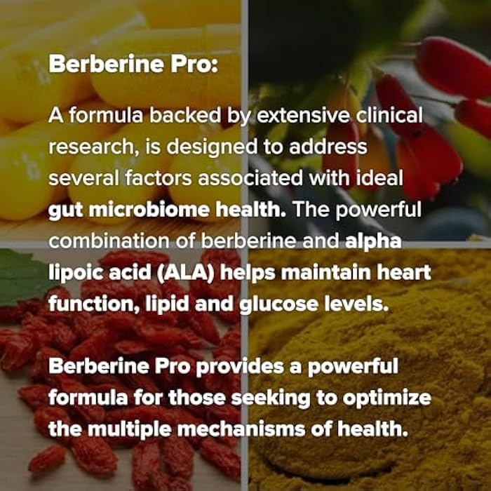 Berberine Pro by Dr. Rajsree, MD | Digestive & Gut Health Support | Herbal Supplement for Intestinal Wellness | 90 Capsules - Image 4
