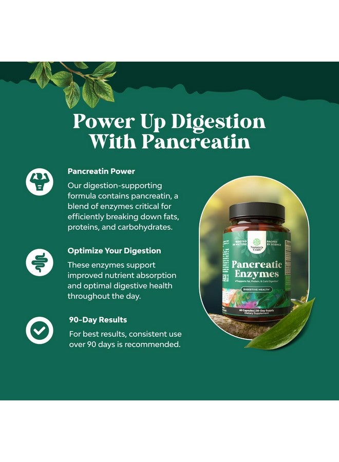 Natures Craft Pancreatin Digestive Enzymes for Digestive Health - Pancreatic Enzymes for Humans with Fat Carb and Protein Digestive Enzymes for Women and Men - Protease Amylase & Lipase Enzymes for Digestion - 60ct - Image 3