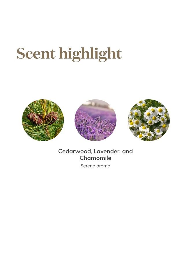 Young Living Tranquil Essential Oil Roll On 10 ml by Young Living Essential Oil - Image 5