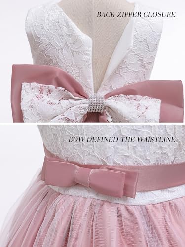LZH Baby Toddler Lace Dress Girls Elegant Embroidery Wedding Party Flower Bridesmaid Bowknot Dresses Up Bean Powder 0-3M - Image 5