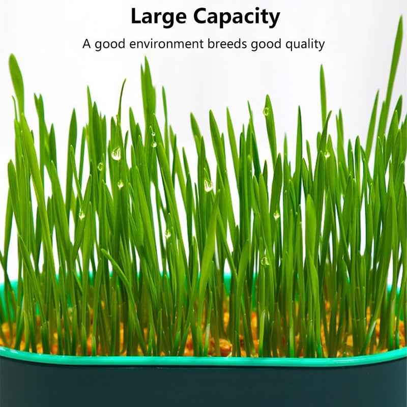 SYCOOVEN Household Cat Grass Planter Plastic Catnip Cat Grass Box Soil Cat Plant Planting Box Nursery Cat Plant for Petsize3pcs - Image 3