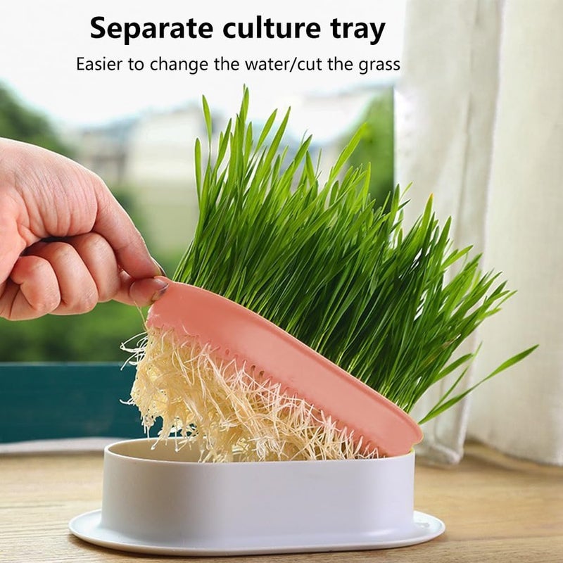 SYCOOVEN Household Cat Grass Planter Plastic Catnip Cat Grass Box Soil Cat Plant Planting Box Nursery Cat Plant for Petsize3pcs - Image 5