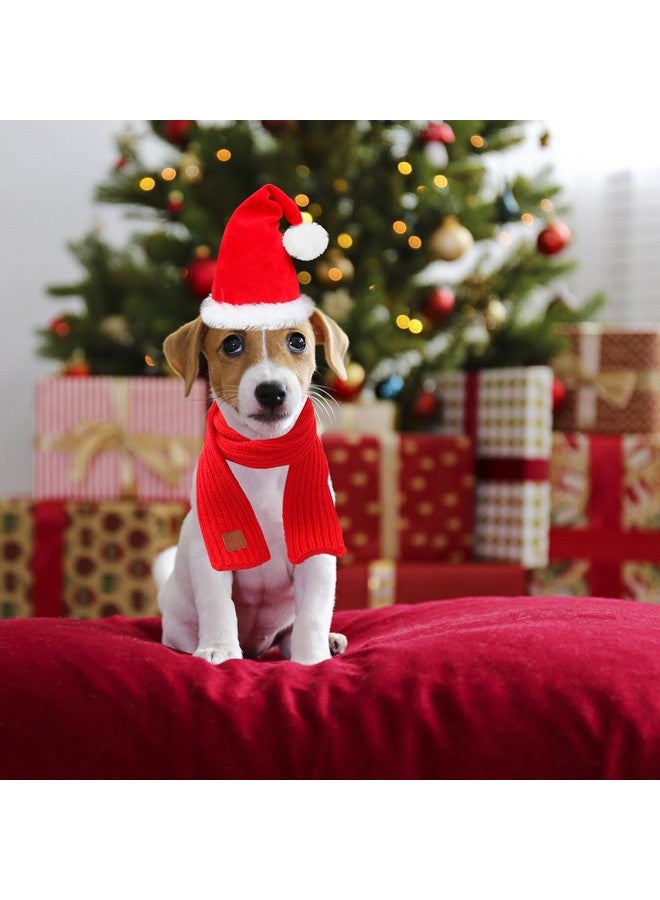 Rypet Dog Santa Hat and Scarf Christmas Dog Costumes Pet Santa hat Christmas Dogs Scarf for Small to Medium Dogs and Cats - Image 5