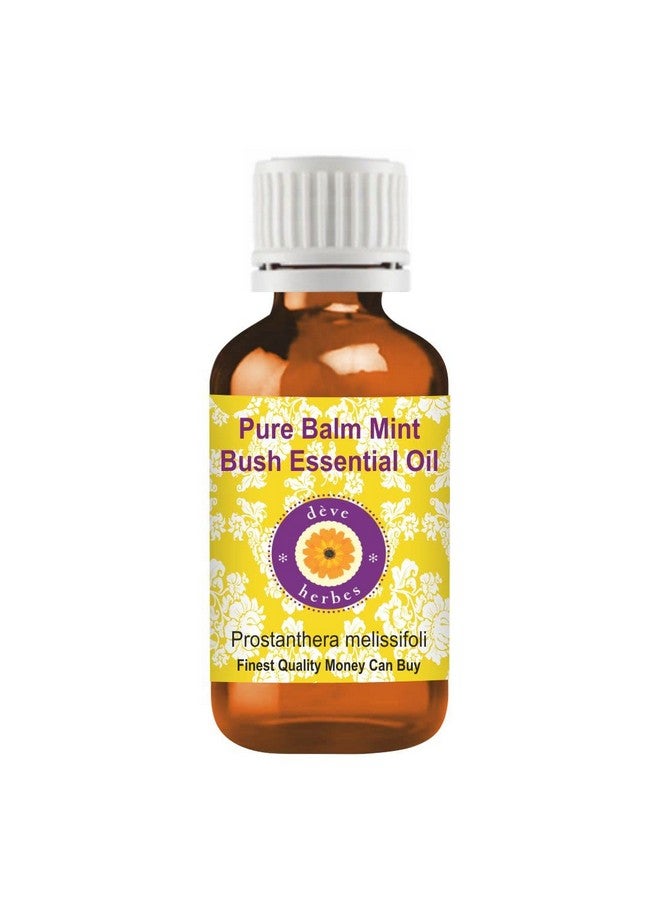 Deve Herbes Pure Balm Mint Bush Essential Oil (Prostanthera Melissifoli) Steam Distilled 30Ml - Image 1