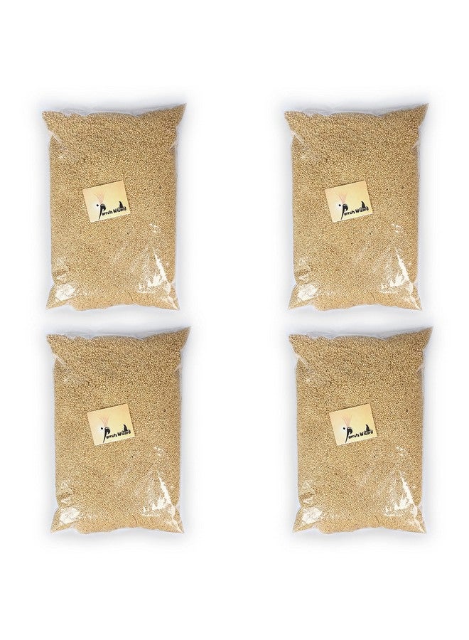 Parrots Wizard, Kangni Bird Food Small Size 3800 gr - Image 1