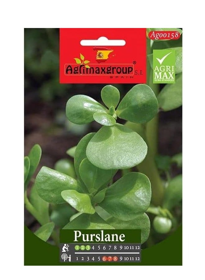 Agrimax Purslane Premium Quality Seeds by Agrimaxgroup® - Image 1