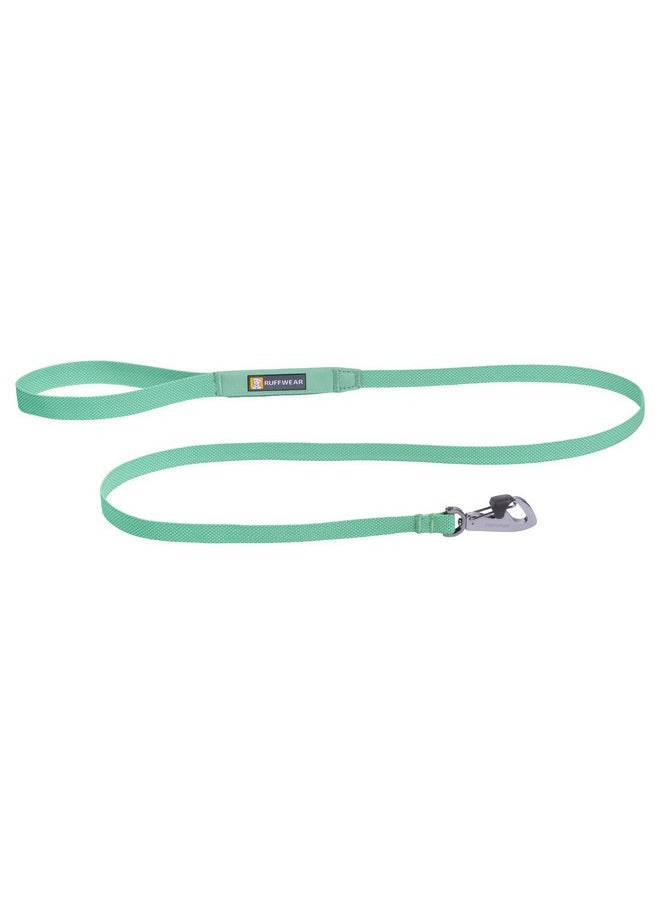 RUFFWEAR Ruffwear, Hi & Light Dog Leash, Minimal Ultralight Lead for Everyday Walks and Runs, 4.5 ft, Sage Green  - Image 1