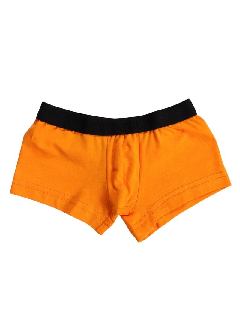 COTTONIL Pack of 6 Cotton Design Boxer For Boys  - Image 4