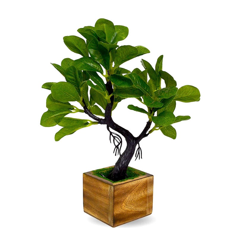 fancymart Elegant Artificial Bonsai Tree in Wood Pot Perfect Mini Tree for Home Office Dcor Ideal for Tabletops Shelves and Study Desks - Image 1