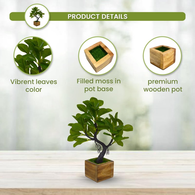 fancymart Elegant Artificial Bonsai Tree in Wood Pot Perfect Mini Tree for Home Office Dcor Ideal for Tabletops Shelves and Study Desks - Image 3