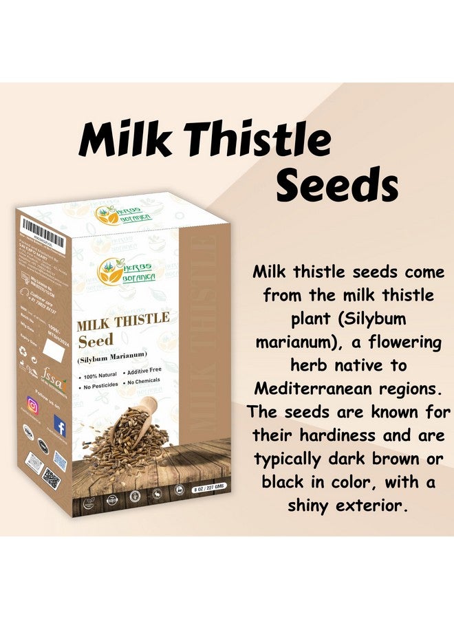 HERBS BOTANICA بذور عشبة الشوك الحليب 100% طبيعية كاردو ماريانو سميدلاس للشاي العشبي، الصبغات والاستخدامات اليدوية بذور الشوك الحليب الكاملة للطحن والانغماس - عبوة 8 أونصات - Image 3