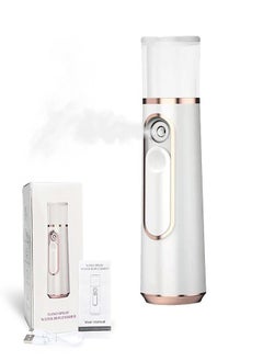 Generic Nano Facial Atomization Sprayer, Portable Handy Cool Mist Water Supply Instrument with 30ml Visual Water Tank, USB Rechargeable Facial Steamer (White)  - Image 1