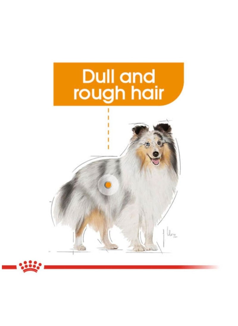 ROYAL CANIN Coat Care Dog Wet Food 12x85g  - Image 4