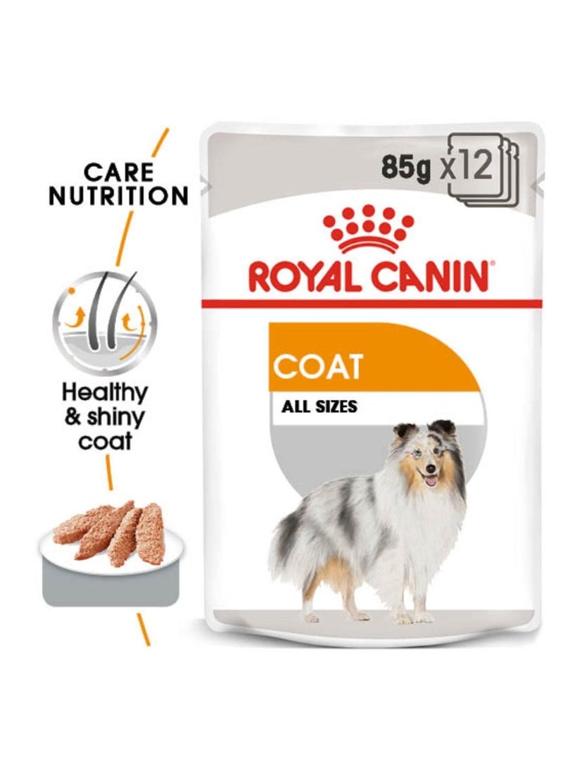 ROYAL CANIN Coat Care Dog Wet Food 12x85g  - Image 1