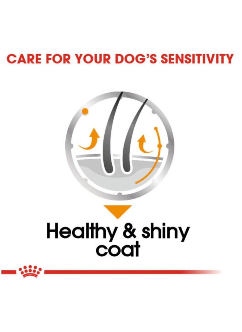 ROYAL CANIN Coat Care Dog Wet Food 12x85g  - Image 3